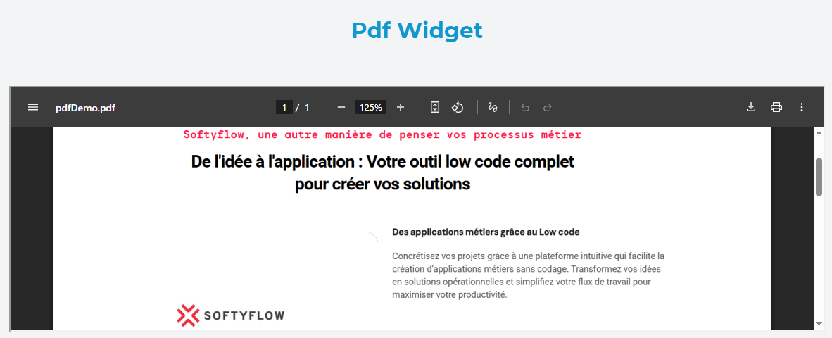Pdf Widget